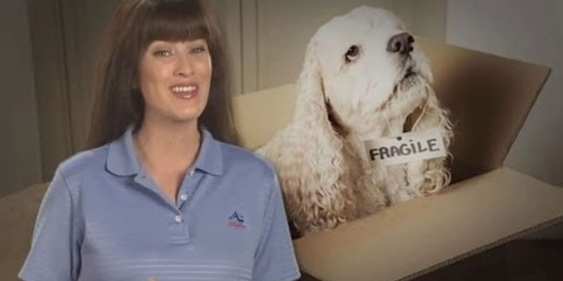 Video Blog: Tips for Moving with Pets